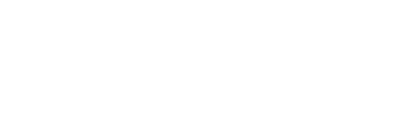 wizi tech logo white