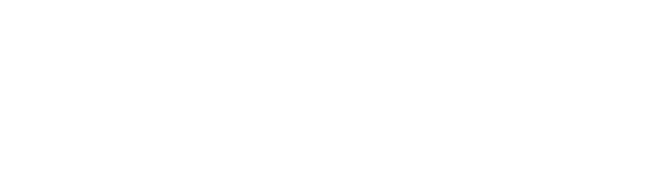 wizi digital logo